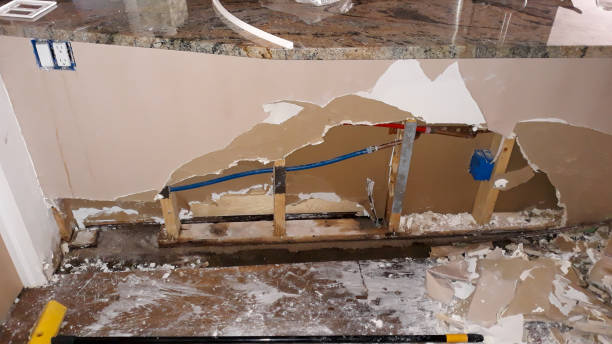 Best Water damage restoration services  in Henagar, AL