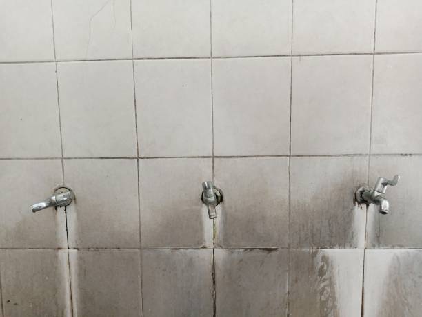 Best Local water damage restoration  in Henagar, AL