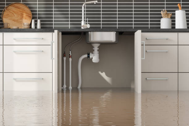 Reliable Henagar, AL Water damage restoration Solutions
